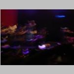 2013-07-05 - 23-05-00_Snoop_Lion.JPG